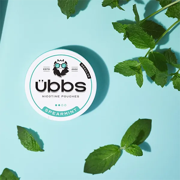 UBBS Nicotine Pouches Top Flavors Best In UK Wholesale-1