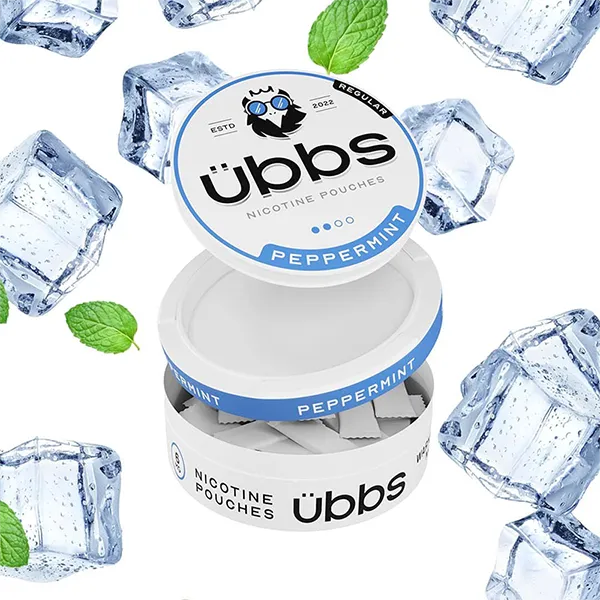 UBBS Nicotine Pouches Top Flavors Best In UK Wholesale-2
