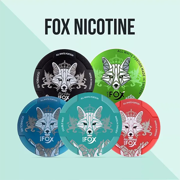 WHITE FOX Nicotine Pouches Top Sales In Dubai Wholesale -3