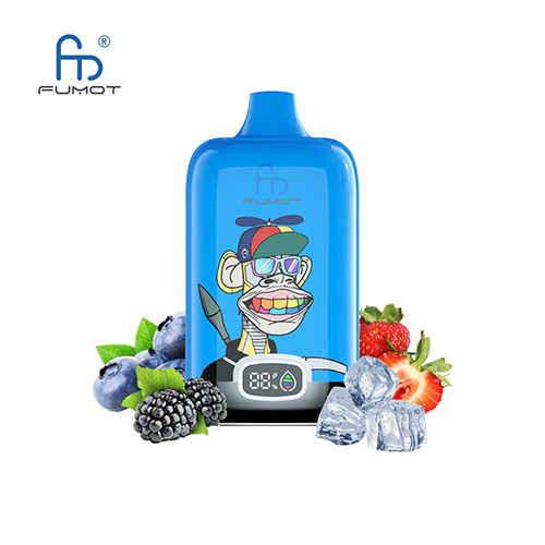 Fumot RandM Digital Box 12000 Puffs-1