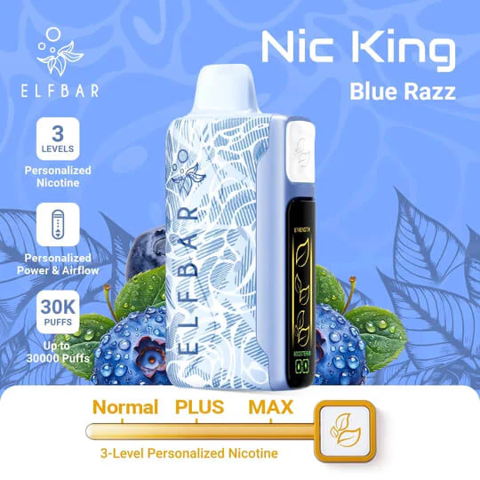 ElfBar NicKing 30000 Puffs