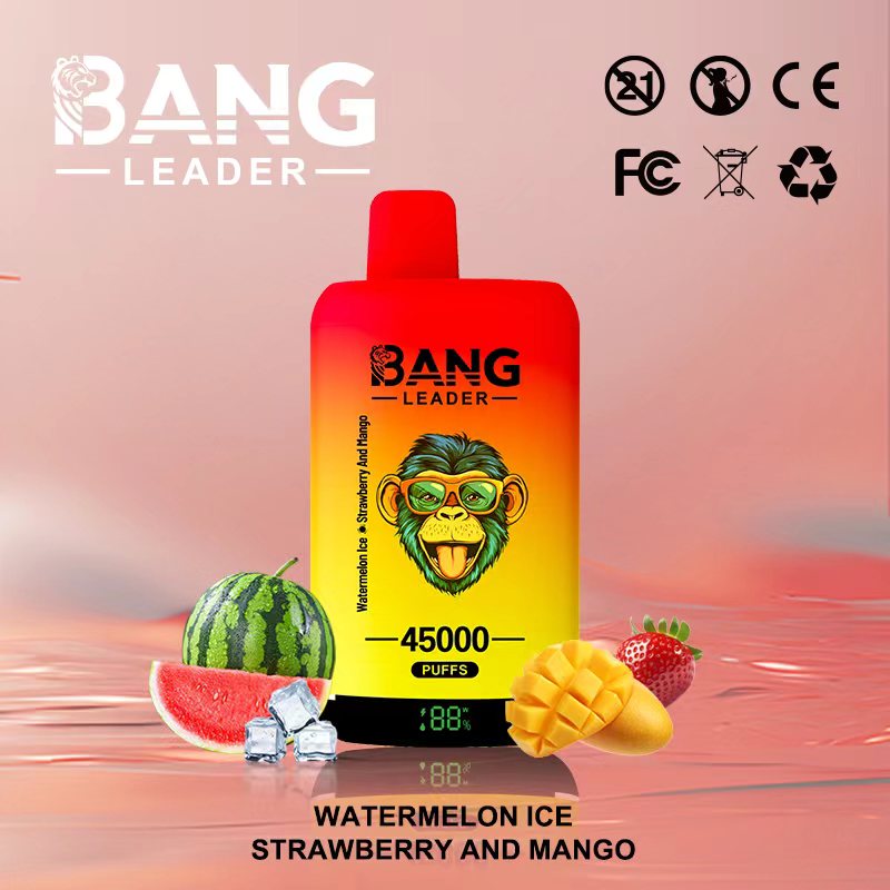 Bang Leader 45000 Puffs