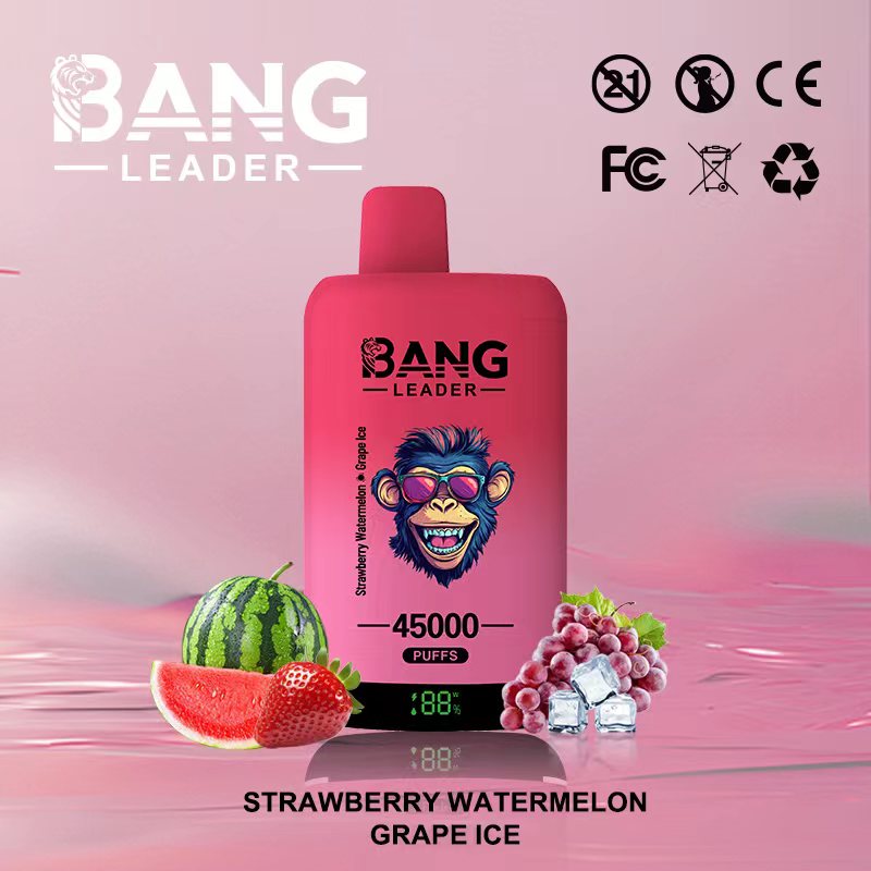 Bang Leader 45000 Puffs