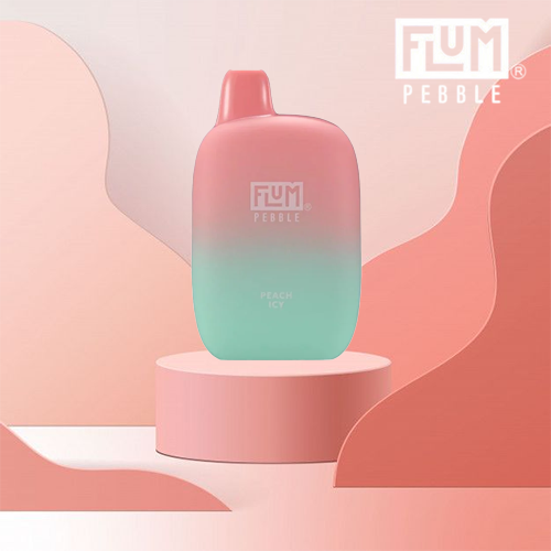 Flum Pebble 6000 Puffs-3