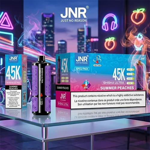 10-piece bulk pack of JNR Shisha Ultra 45K Puffs Summer Peaches flavor for French retailers