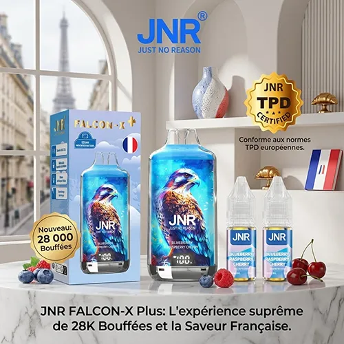 JNR Falcon X Plus 28000 puffs disposable vape wholesale France Belgium