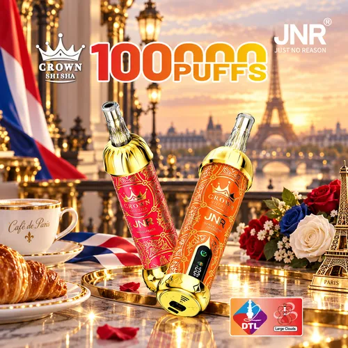 JNR Crown Shisha 100K Puffs DTL disposable vape in Paris France